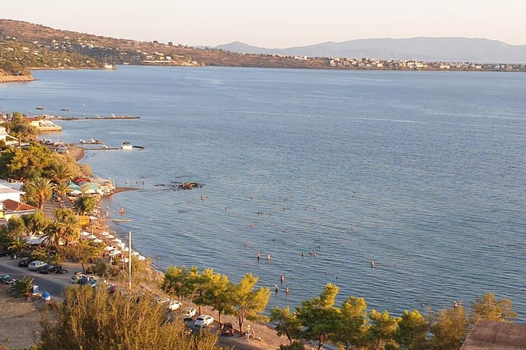 Appartement Avec Vue Aegina Bagian luar foto
